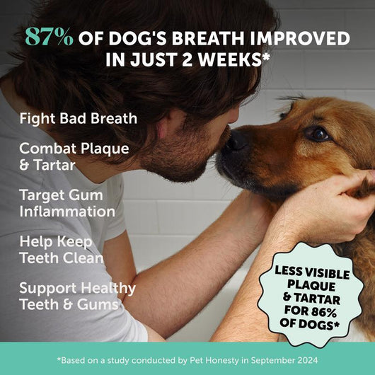 Fresh Breath Dental Powder for Dogs (30 servings)