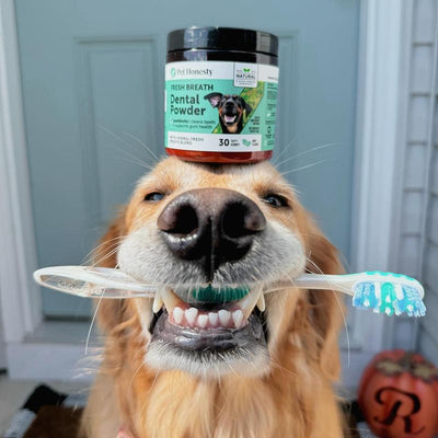 Fresh Breath Dental Powder for Dogs (30 servings)